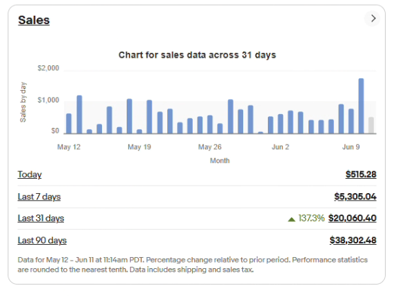 eBay store sales snapshot 1