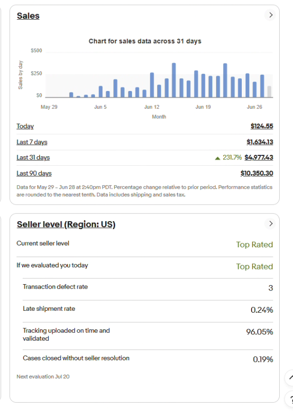 eBay store sales snapshot 2