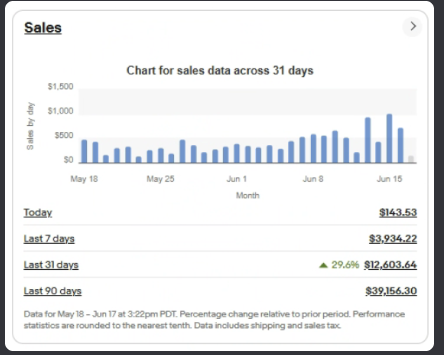 eBay store sales snapshot 8