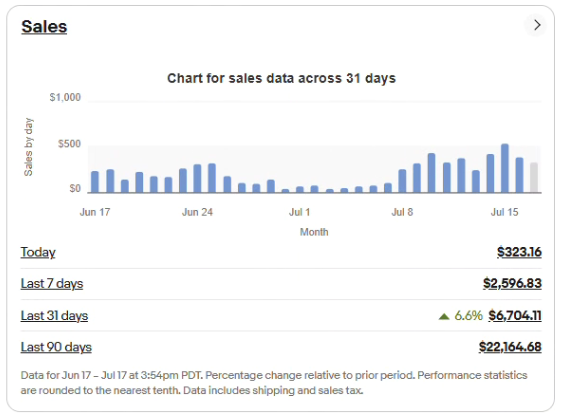 eBay store sales snapshot 5